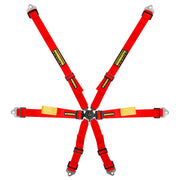 SCHROTH Enduro 2x2 6-Point FHR Harness