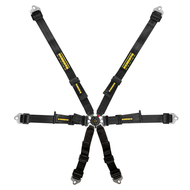 SCHROTH Flexi 2x2 6-Point FHR Harness