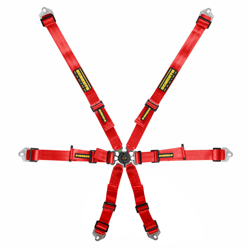 SCHROTH Flexi 2x2 6-Point FHR Harness