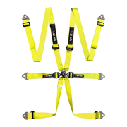 LTEC Endurance 6-Point FHR Harness
